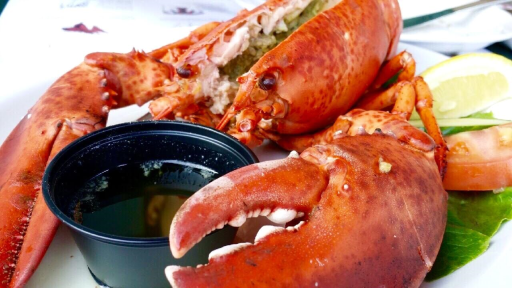 lobster-1